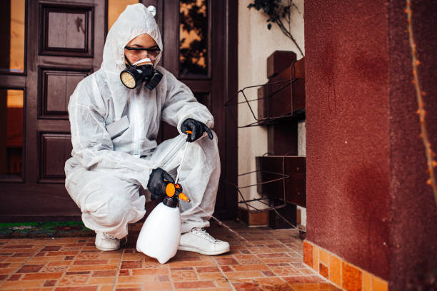 Reliable Mosquito Control contractor in Los Chaves, NM by Show Me Pest Control